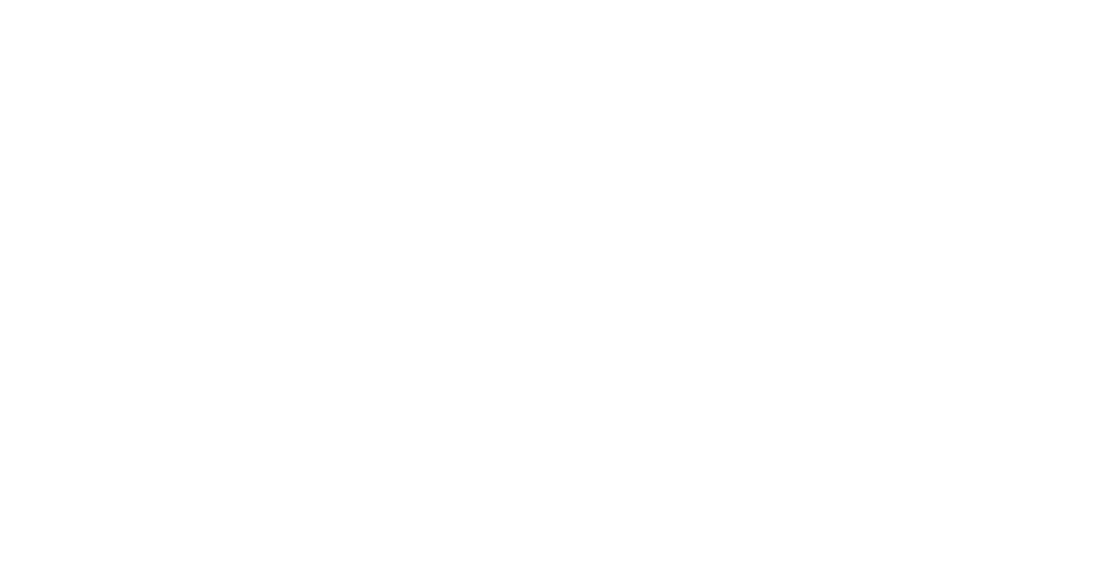 Willow Wellness
